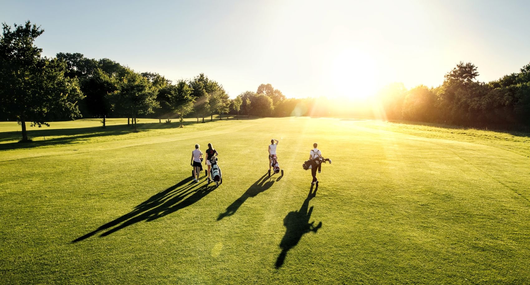 Cztery osoby idą przez oświetlone słońcem pole golfowe, niosąc torby golfowe i rzucając długie cienie na trawę, z drzewami i jasnym światłem słonecznym w tle.